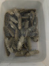 音速猫逆天3.5气垫碳板跑鞋体考体测运动鞋田径比赛训练夏季新款男女 【北体田径丨官方认证】青柠 39 【偏小，建议拍大一码】 实拍图