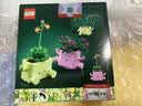 乐高（LEGO）积木 花植系列 11506 摇滚盆栽 花束拼装玩具520礼物 实拍图