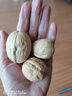 【限时优惠】新疆185纸皮生核桃5斤原味坚果孕妇零食核桃纸皮薄皮 【5斤手剥即开】精选185纸皮核桃 新疆阿克苏老树大号185纸皮核桃 实拍图