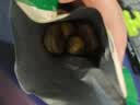 三只松鼠有机甘栗仁500g 熟制即食板栗仁栗子仁坚果休闲零食团购送礼 实拍图