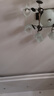 飞利浦（PHILIPS）LED灯泡E27大螺口高亮节能球泡家用吊灯白光暖光替换白炽灯泡 5W小球泡-6500K E27螺口-4只装 实拍图