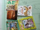 京东京造夏季儿童内裤男童内裤青少年A类平角纯棉透气不夹pp四角短裤 实拍图