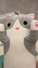伊美娃娃猫咪抱枕公仔毛绒玩具女孩陪睡长条布娃娃玩偶睡觉夹腿抱枕女生 灰色【店长推荐：送女神选这款】 70cm 实拍图