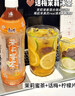 康师傅 茉莉蜜茶 茉莉花茶饮料 小瓶整箱装 330ml*12瓶 热门商品 实拍图