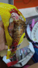 德州扒鸡山东特产熟食零食休闲食品独立包装蜜汁味德州扒鸡大鸡腿65g*14 实拍图