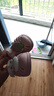 卡特兔儿童洞洞鞋男童凉鞋夏季女宝踩水速干沙滩鞋宝宝凉拖鞋XBI76 实拍图