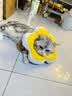 华元宠具（hoopet）猫咪伊丽莎白圈项圈宠物狗狗圈耻辱圈颈圈脖圈头套犬防舔头罩头套 实拍图