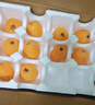 京觅四川米易枇杷新鲜水果当季甜枇杷净重1.5斤单果40g+源头直发包邮 实拍图