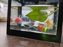 桌面鱼缸小型家用积木缸生态缸水族箱斗鱼缸带小夜灯氛围灯摆件 黑色鱼缸一个灯 实拍图
