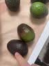 正宗进口秘鲁哈斯牛油果孕妇水果宝宝辅食进口鳄梨整箱批发价 6个装 单果净重100-130克 实拍图