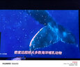 极米（XGIMI）Z9X 4K 高亮版 全新轻薄4K光学变焦三色激光投影1500CVIA 真实高亮家用智能云台投影仪 国家补贴 实拍图