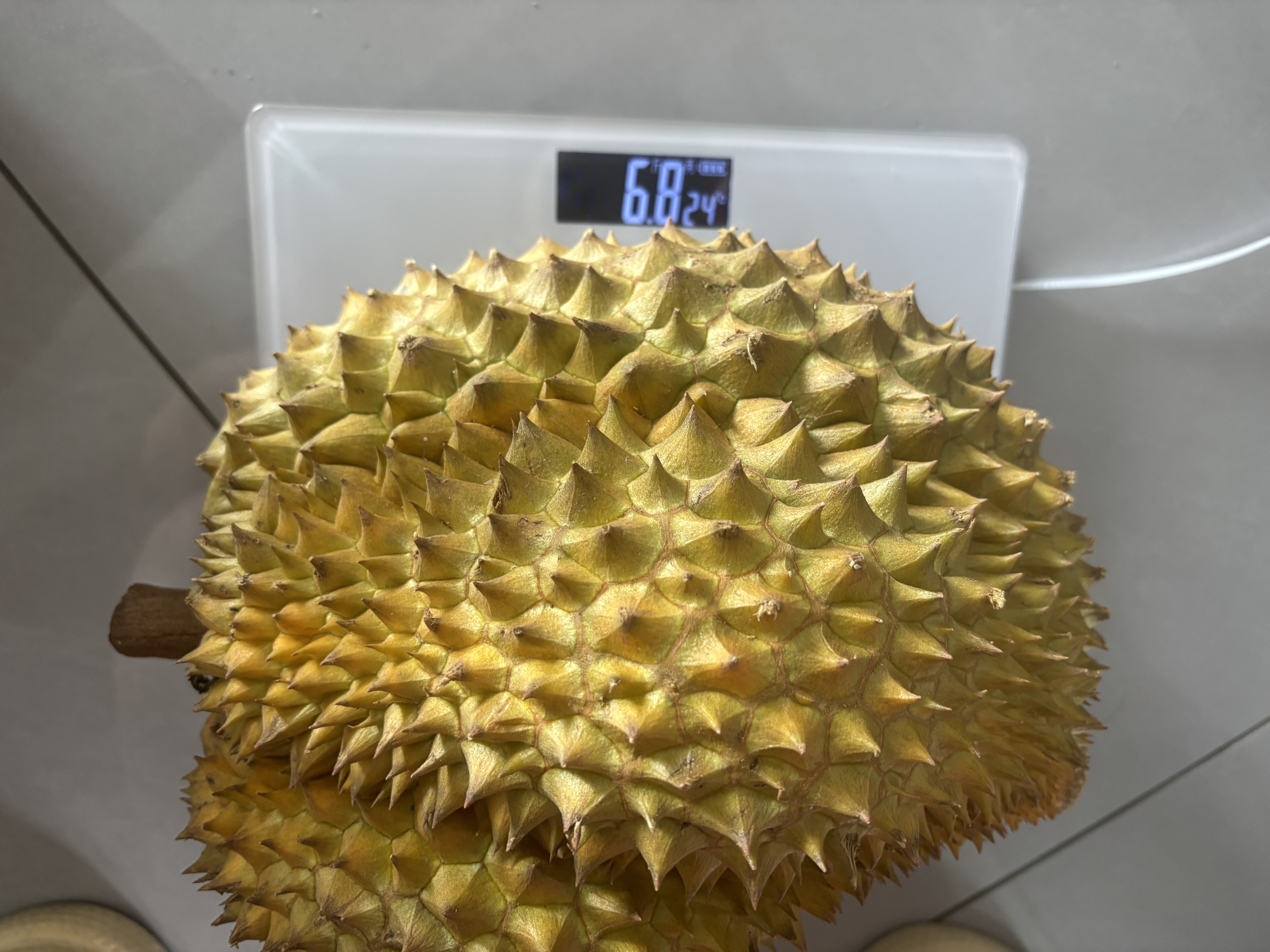 得力（deli）(deli)速干直液笔走珠签字笔 学生办公中性笔 ins无印简约风 0.5mm全针管 蓝色12支/盒S856 实拍图