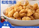小牛凯西 原味鸡米花750g(250g*3袋)脆皮盐酥鸡半成品 冷冻鸡块 实拍图