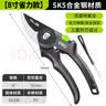 得力修枝剪刀树枝剪 升级SK5钢果树剪花枝剪盆栽花卉园林园艺修枝神器 实拍图