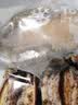 江船长冷冻大鲍鱼 净重400g 6粒袋装 火锅食材 冷冻海鲜 生鲜 实拍图