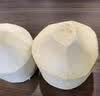 泰国香水椰青新鲜椰子去皮奶香椰青 1粒（单果净重750g+） 清甜可口，奶香味足 实拍图
