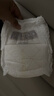 babycare皇室狮子王国拉拉裤大号L32+6片(9-14kg)婴儿尿不湿 实拍图