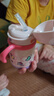 babycare儿童保温杯婴儿宝宝吸管水杯霸王龙不锈钢保温杯300ml-新旧款混发 实拍图