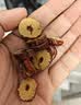 陈一凡红枣片500g 大份量袋装新疆原产无核免洗即食红枣干养生茶 实拍图