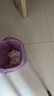 波咯咯（bololo）婴儿消毒柜奶瓶消毒器过滤芯层架配件 【HEPA】滤芯半年量 0L X30/X50/Z50/Z60 实拍图