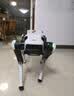DOBOT越疆Rover X1智能机器狗2026新款 AI语音对话家庭陪伴电子宠物自主跟随机械狗具身智能四足机器人 晒单实拍图