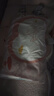 匹鲁儿童枕头枕芯A类抗菌可水洗3-6-12岁幼儿园午睡枕 小公主 30*50cm 实拍图