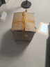 茶花（CHAHUA）水桶手提式带盖储水桶pp材质加厚学生宿舍家用洗衣洗车钓鱼水 带盖水桶浅蓝色 21L 1个 实拍图