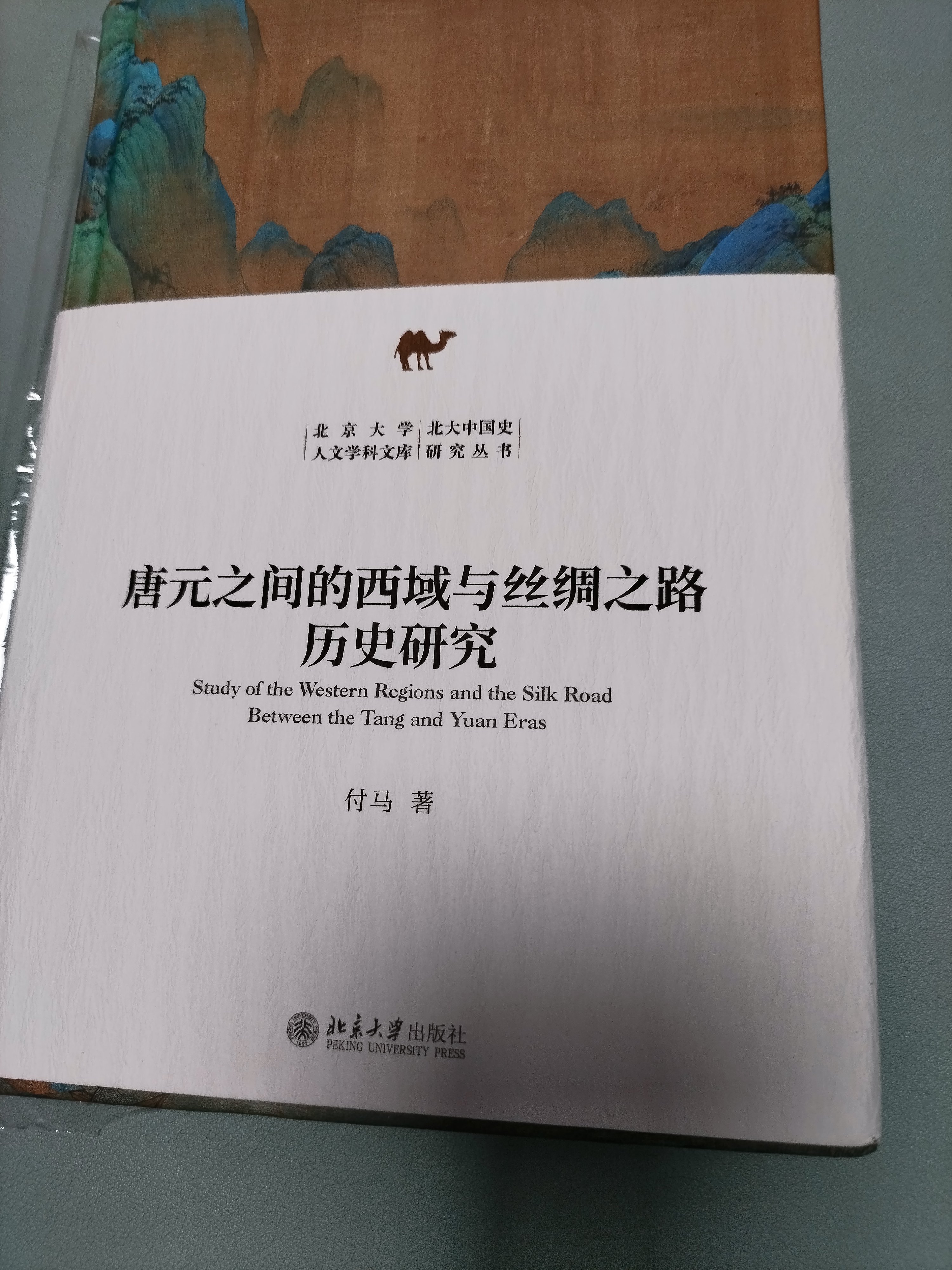 唐元之间的西域与丝绸之路历史研究 北大中国史研究丛书 实拍图