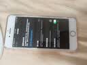 Apple苹果iPhone 17/16/15/14/13/12/11/X系列pro max air mini plus e二手手机 苹果 iPhone 8 实拍图