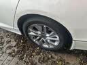 普利司通汽车轮胎225/50R17 94V ER33KZ原配雅阁适配标致607 实拍图