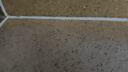 京东京造蒸汽洗地机【160℃蒸汽除菌 25kpa劲吸】家用扫地拖地机吸拖一体 60℃热水自动清洗 防缠 实拍图