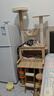 唐米吉吉加粗大型猫爬架猫窝猫树一体太空舱猫架子小户型不占地剑麻猫玩具 146cm吉吉款-送趣味转盘玩具 实拍图