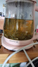 佰利红叶莓茶特级野生张家界降2025新茶张美丽湖南永顺三高霉藤茶正宗土家 实拍图