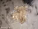 得力大型商用大吸力抽真空封口机真空包装机食品塑封机全自动真空机干湿两用家用真空保鲜打包密封机 实拍图