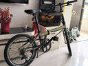大行（DAHON）折叠自行车20英寸8级变速经典P8单车KBC083 消光绿经典版--京仓 实拍图