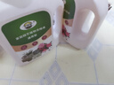 植物营养液通用型家用盆栽发财树富贵竹绿萝水培花卉绿植蔬菜肥料 通用营养液500ml×2瓶 实拍图