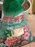 50升大包通用型疏松透气泥炭营养土种菜土养花土壤多肉种植有机土 50L-轻质蓬松营养土【已混多菌灵生根粉】 实拍图