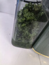 小熊（Bear）榨汁机 原汁机渣汁分离 多功能家用全自动冰淇淋 果汁橙汁压榨器果蔬机110mm口径F02E3 实拍图
