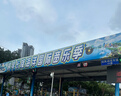 361°泳裤男士防尴尬宽松速干游泳裤大码平角沙滩裤温泉游泳装备 实拍图