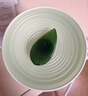 佰草集白茶玲珑保湿唯润霜50g面霜提亮水润控油护肤品七夕情人节礼物 实拍图
