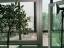 精忠报国植物补光灯大棚蔬菜花卉led室内绿植专用仿太阳全光谱园林生长灯 【仿太阳全光谱补光灯】白-30W 配3米灯头线 实拍图