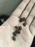 京东京造 意式咖啡豆试饮100g 100%阿拉比卡香醇油脂浓郁低酸深烘 实拍图