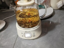 小熊（Bear）全玻璃养生壶 纯玻璃多功能恒温烧水壶煮水壶 办公室轻音炖煮茶壶 1L YSH-J10D1 实拍图