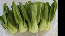 【东东买菜】四季小青菜自种大棚小油菜现摘超市涮火锅时令蔬菜 河南小青菜2斤装净重 实拍图
