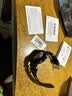 卡西欧（CASIO）手表男G-SHOCK黑金防水多功能运动电子学生青少年日韩表七夕礼物 黑金GA-110GB-1A 实拍图