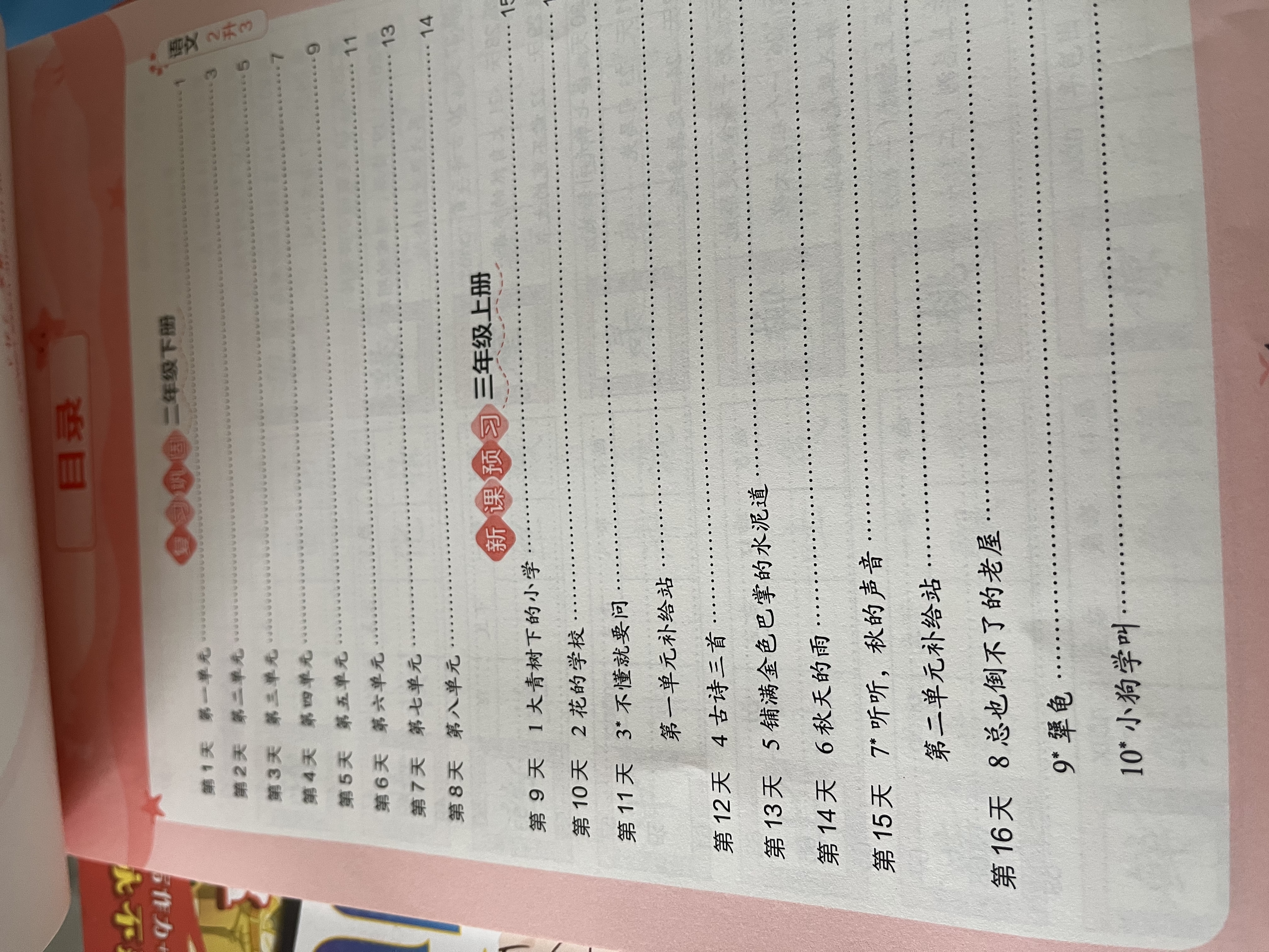 暑假活页语文字帖二升三暑假字帖2升3二年级语文暑假预复习暑假作业53小学衔接训练 开学季 实拍图