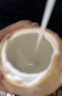 佳沃（JOYVIO）泰国进口香水椰皇 6粒装 400g～500g/粒 水果 源头直发包邮 实拍图