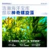 麦富迪狗粮 藻趣儿狗粮成犬粮牛肉螺旋藻 均衡营养2.5kg 实拍图