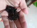 福茗源茶叶  金骏眉红茶 蜜香浓香型武夷红茶2026新茶春茶叶自己喝180g 实拍图