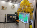 森森（SUNSUN）大型鱼缸底过滤水族箱客厅家用落地玻璃生态金鱼缸 【实时温显+灯控】珍珠白 1米长35cm宽 实拍图
